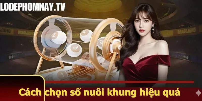 Cách chọn số nuôi khung hiệu quả (chi tiết từng bước)