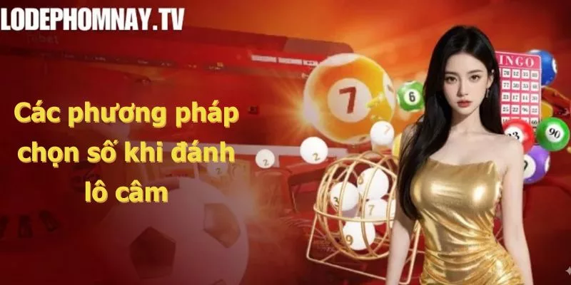 Các phương pháp chọn số khi đánh lô câm