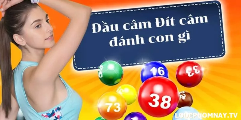 Kết Hợp Đầu Câm và Đuôi Câm