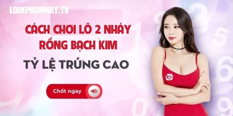 Các bước soi cầu lô 2 nháy rồng bạch kim hôm nay