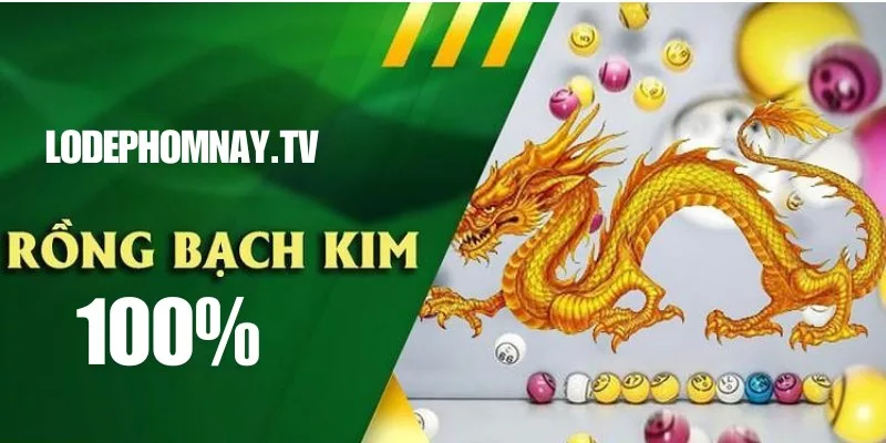 Rồng Bạch Kim 100 có nhiều loại chất lượng cao trên thị trường cho dân chơi lô đề thông minh
